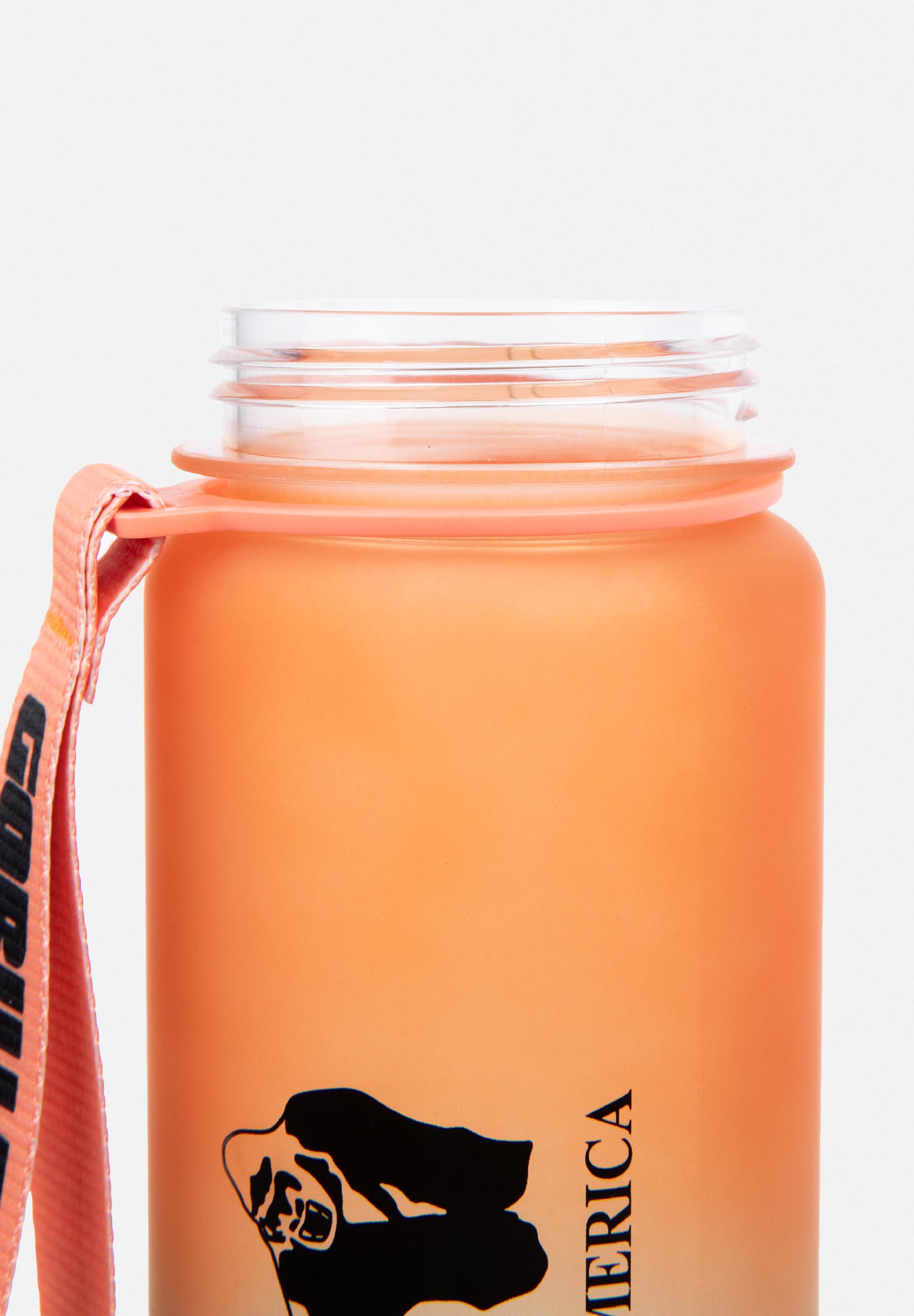 Gorilla Wear Gradient Water Bottle - Kaikki värit