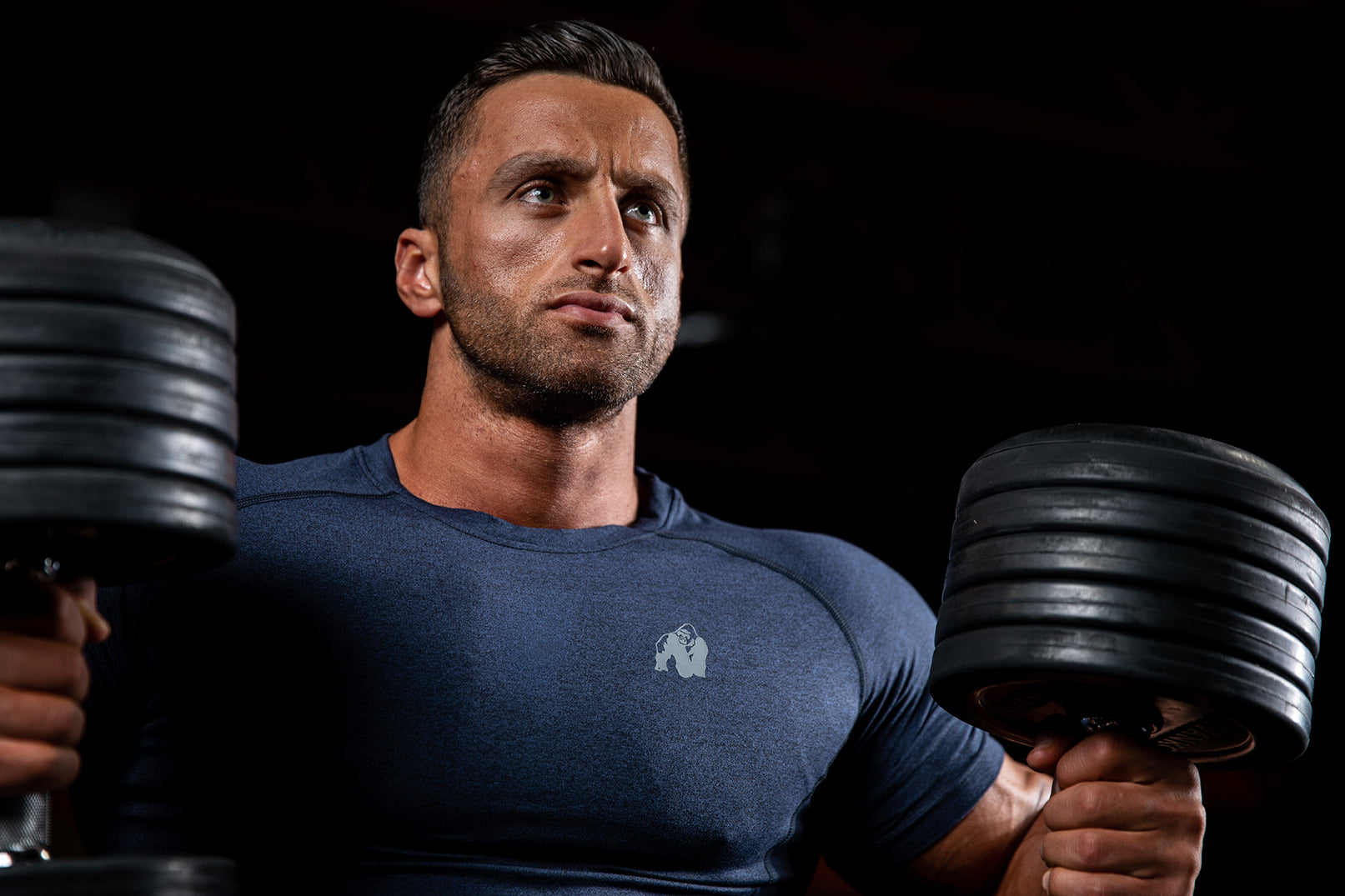 Gorilla Wear Lewis T- Shirt - Kaikki värit